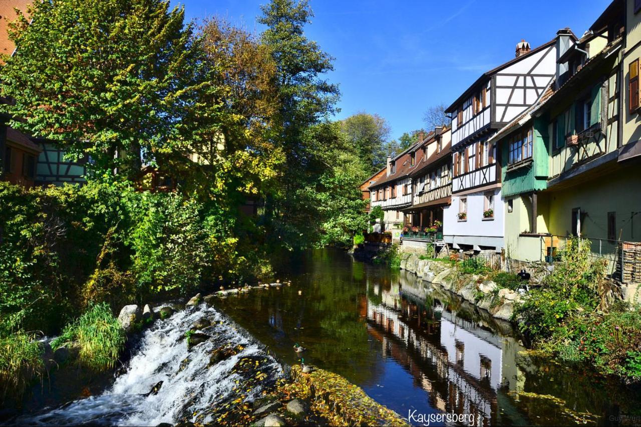 Chalet Du Silberrain Pres De Colmar - Cheminee, Sauna, Piscine Partagee Osenbach Exterior photo